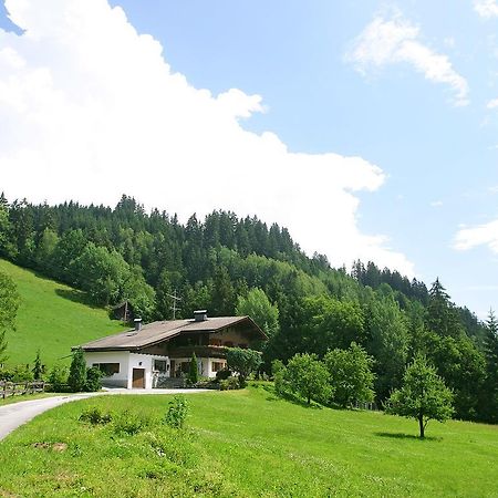 Ferienhaus Berger Mittersill Exterior photo