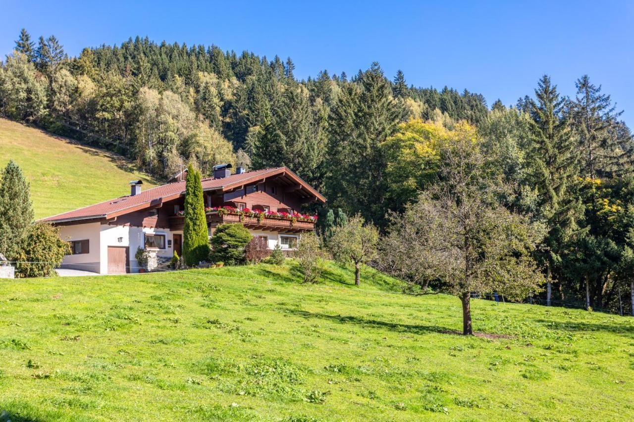 Ferienhaus Berger Mittersill Exterior photo